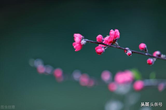 生辰八字免费算桃花运