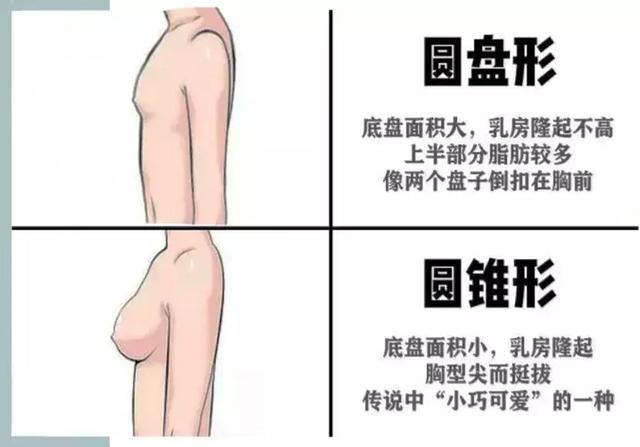 八字乳怎么选内衣