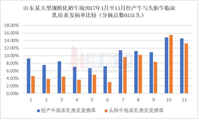 牛群生日八字