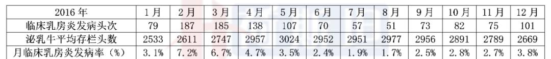 牛群生日八字