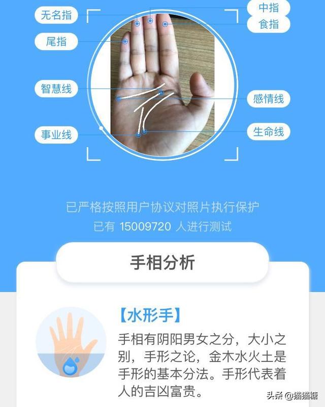 扫手相免费算命