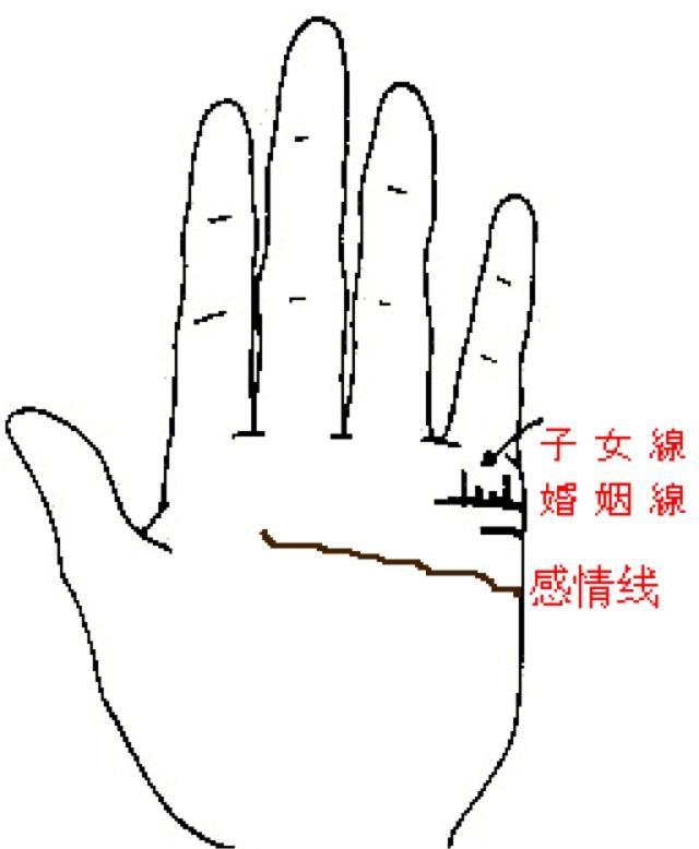 免费八字分析子息