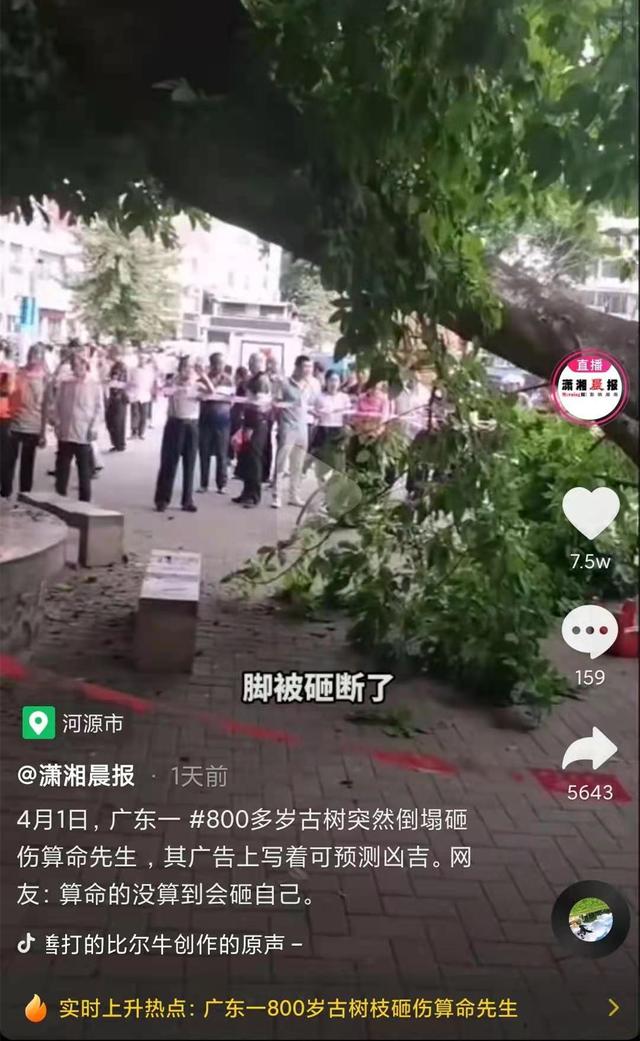 王振扬免费算命测凶吉