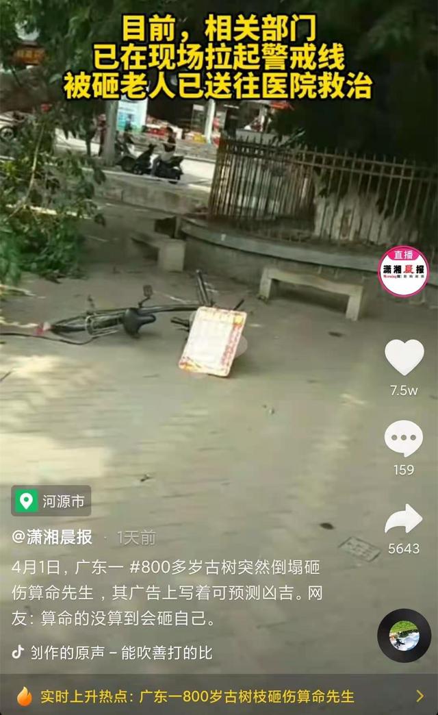 王振扬免费算命测凶吉