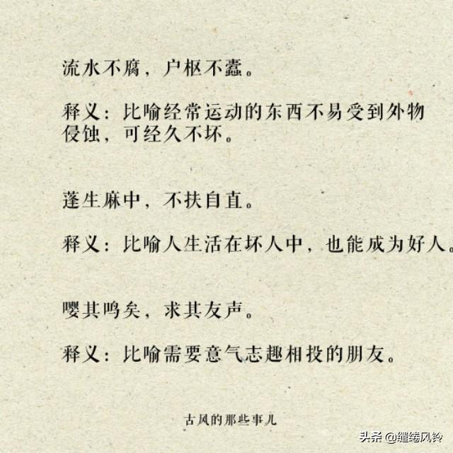 告的八字成语