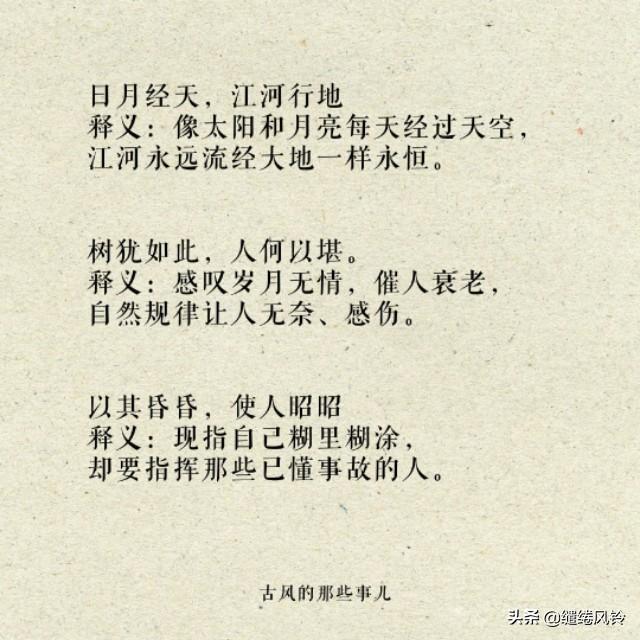 告的八字成语