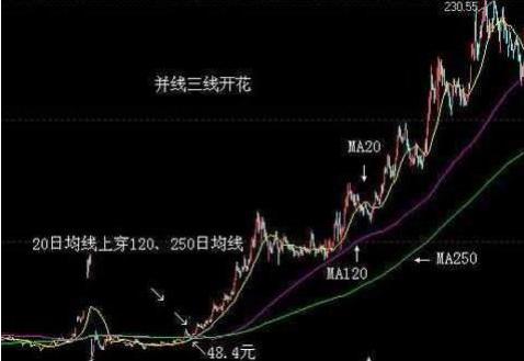 什么八字喜欢投资黄金