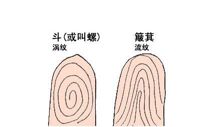 免费算命指纹算命