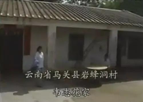 勒如超八字