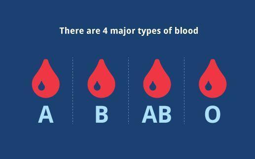 八字测试测自己是什么血型