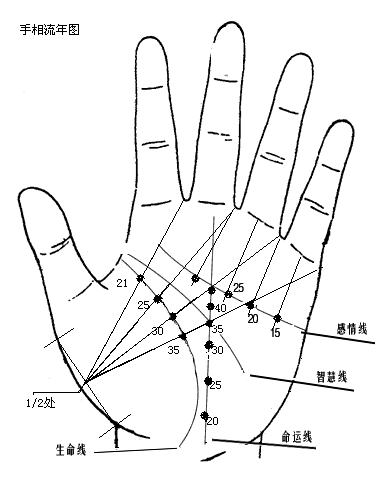 免费帮看手掌算命 手相算命免费