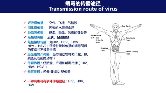 丁洪易经免费算命网