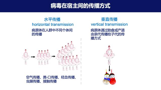 丁洪易经免费算命网