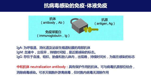 丁洪易经免费算命网