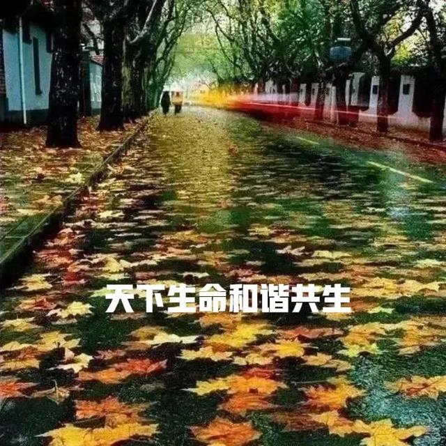 八字老年身体好