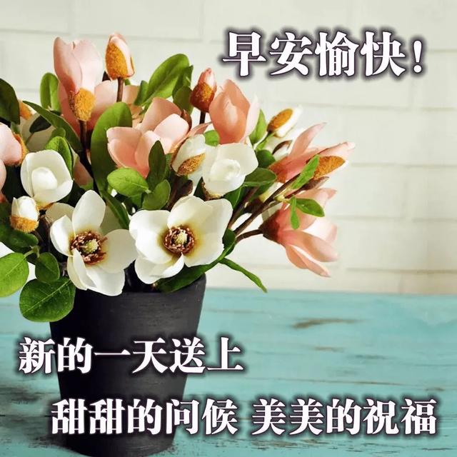 激励人心八字的短句