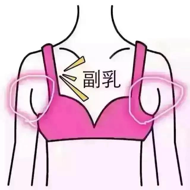 八字乳怎样选文胸