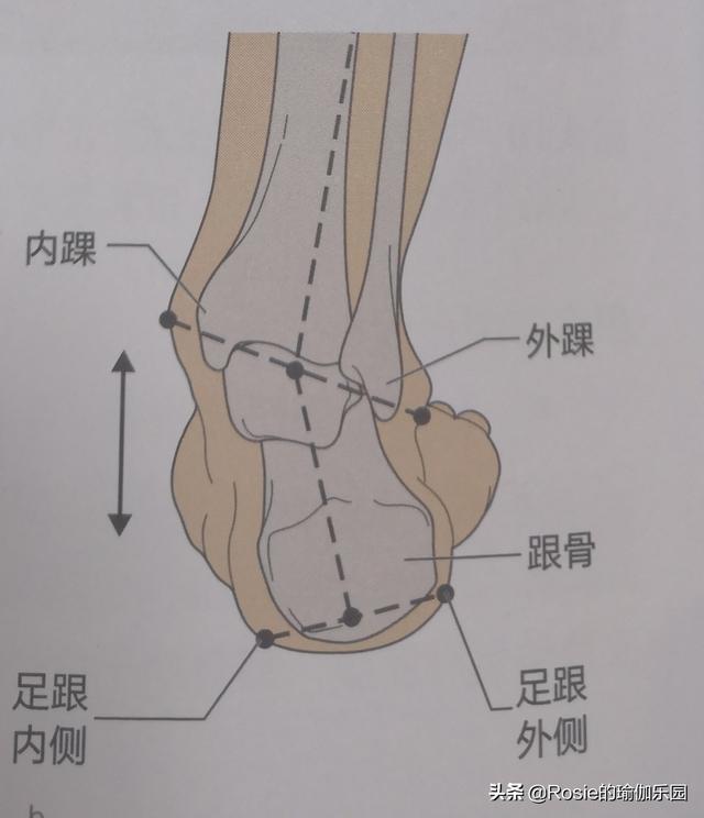 开心快乐姐姐八字句子