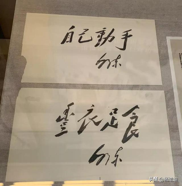 毛爷爷八字