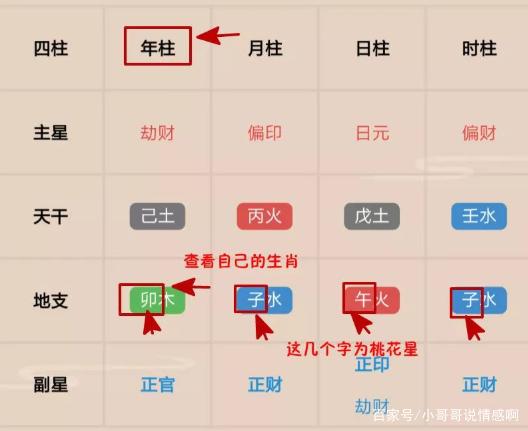 八字排盘带图标 八字排盘免费排盘