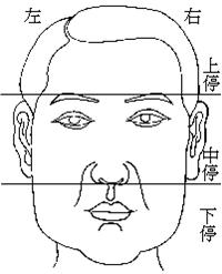 因妻得禄的八字