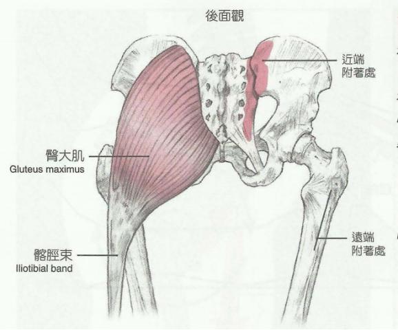 八字水多身体