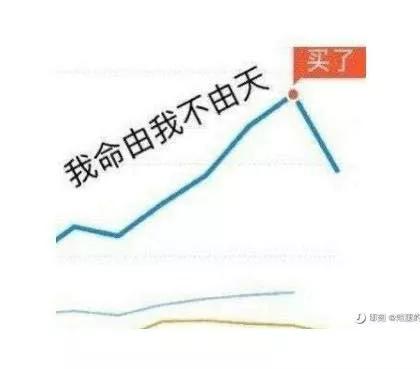 斗鱼八字妹