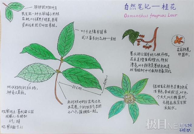 订正错误的八字名言警句大全