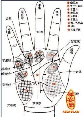 免费手相算命图解 女人手相图解大全详解