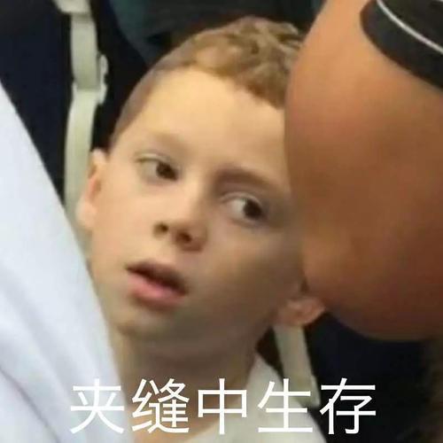 八字和盘免费