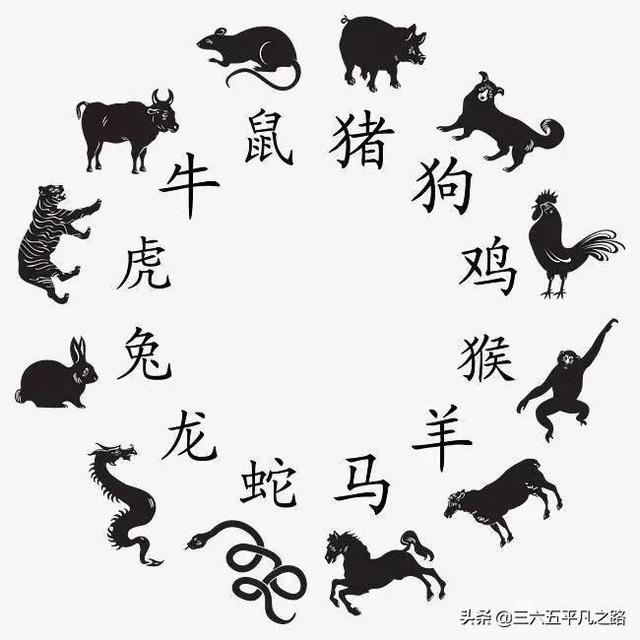 八字有三亥好不好