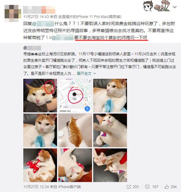 免费算命找猫