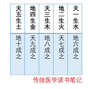 嘴旁呈八字泛白