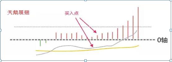 免费排八字源码