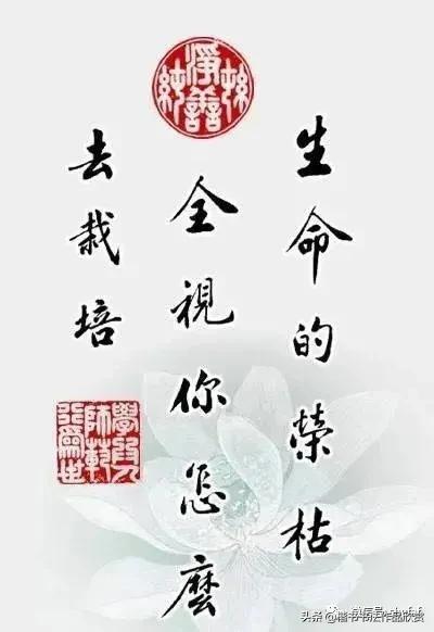 简单毛笔八字名言