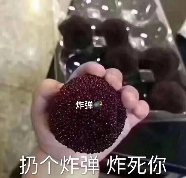 推算八字的软件下载