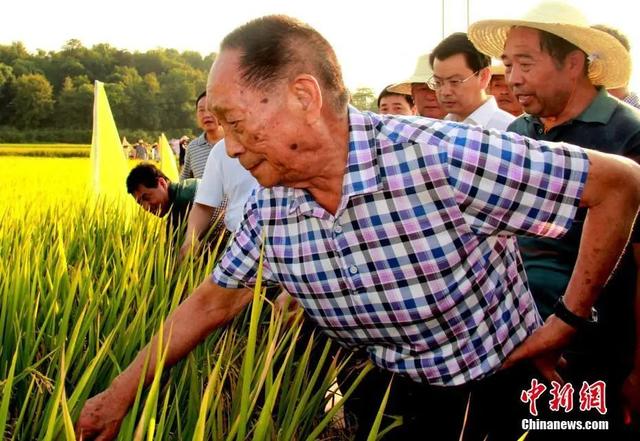 厦门八字起名大师