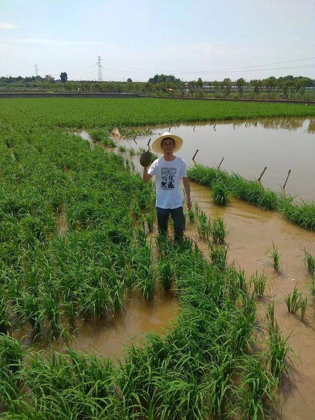 水是才的八字搞水产业好是吗