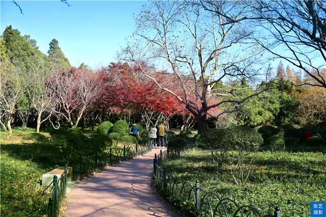 青岛景色介绍八字