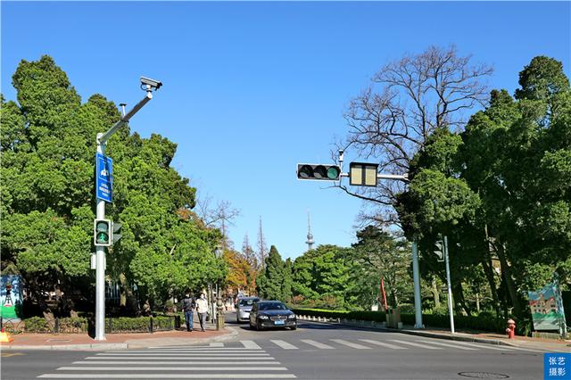 青岛景色介绍八字