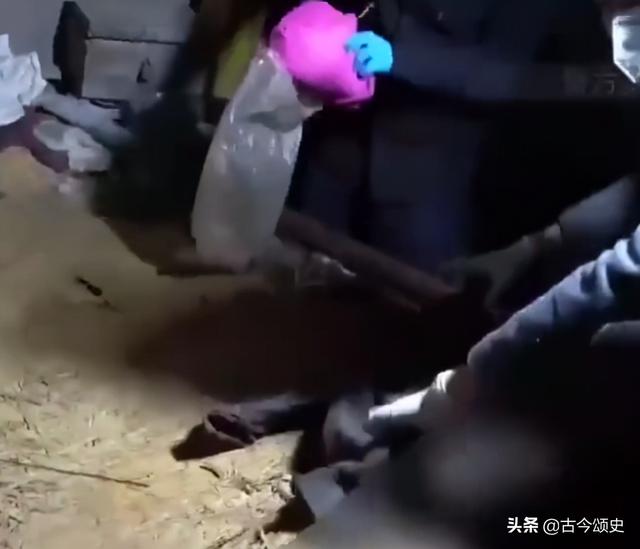 免费算命什么时候会死