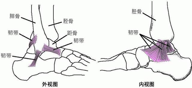 八字绑带护踝原理