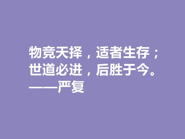 有关阅读的八字名言