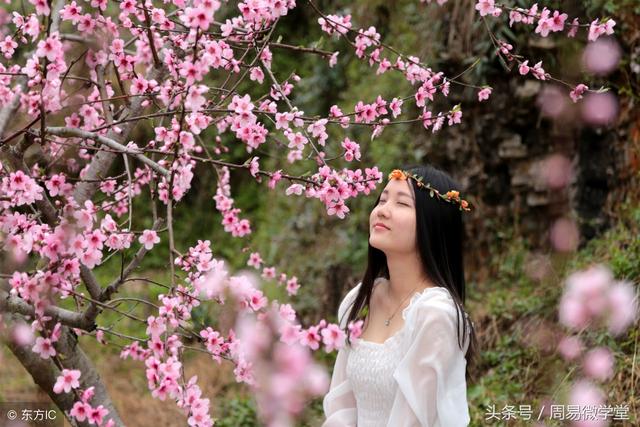 什么样的八字女人最风流