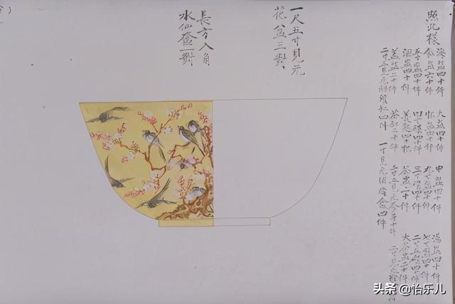 八字蝴蝶什么颜色