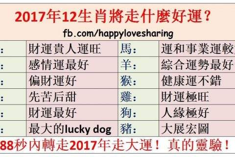 起名字周易八字取名测名起名 周易八字取名起名字app下载