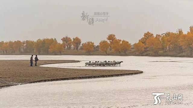 赞美中国的八字词语