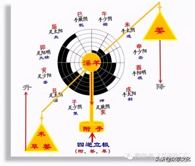 中科院八字预测学博士生