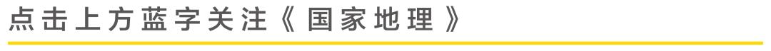 八字叶片钻石四爪吊坠