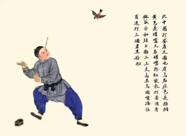 算八字挂槟榔